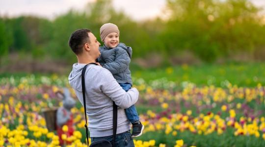 Szedd magad a tulipánt is! Le ne maradj! Itt vannak a legjobb helyszínek! Szedd magad a tulipánt is! Le ne maradj! Itt vannak a legjobb helyszínek!
