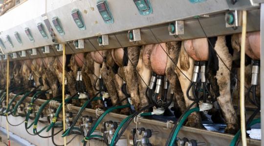 Világklasszis futó „rossz cipőben”: szerinted mennyire lesz eredményes? Világklasszis futó „rossz cipőben”: szerinted mennyire lesz eredményes?