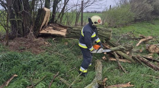 Tomboló szél, milliós károk: siratják a kertjeiket és fóliasátraikat a dunántúliak