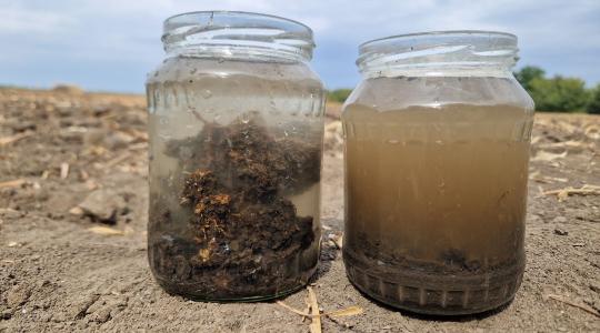 Talajstratégiák II. – Vízbeszivárgás