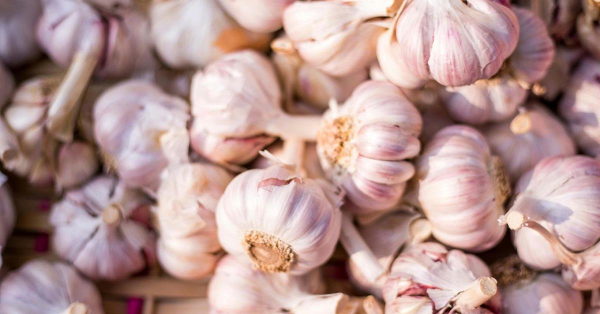 Fokhagyma ültetése tavasszal: ezt rontják el a legtöbben