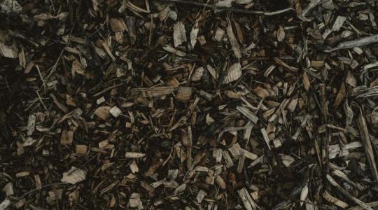 Jól vigyázz, most nem szabad elrontanod ezt a kertben! Jól vigyázz, most nem szabad elrontanod ezt a kertben!