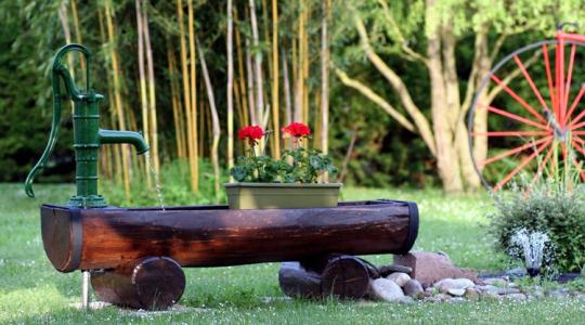 Ezért pusztul a muskátli - és hogyan mentheted meg Ezért pusztul a muskátli - és hogyan mentheted meg