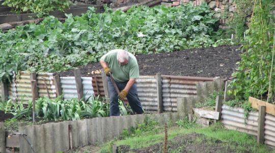 Ez az a hiba, ami miatt lassan, de biztosan pusztul a kerted