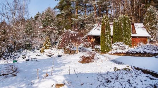 Ki ne hagyd! Ez a 6 fontos kerti feladatot nagyon megéri még tavasz előtt elvégezni!