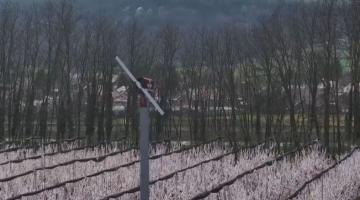 Egyetlen éjszaka alatt megtérül? Egyetlen éjszaka alatt megtérül?