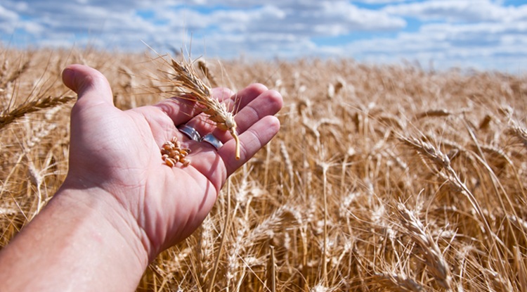 Milyen a minősége?