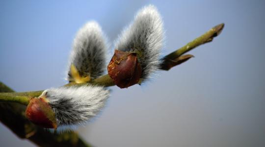 3 napos előrejelzés: Csak nagypéntekig kell valahogy kibírni