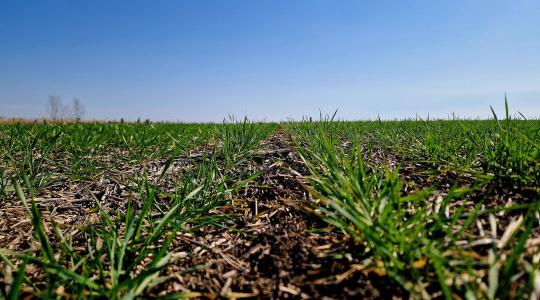 Talajstratégiák IV. – Fizikai degradáció