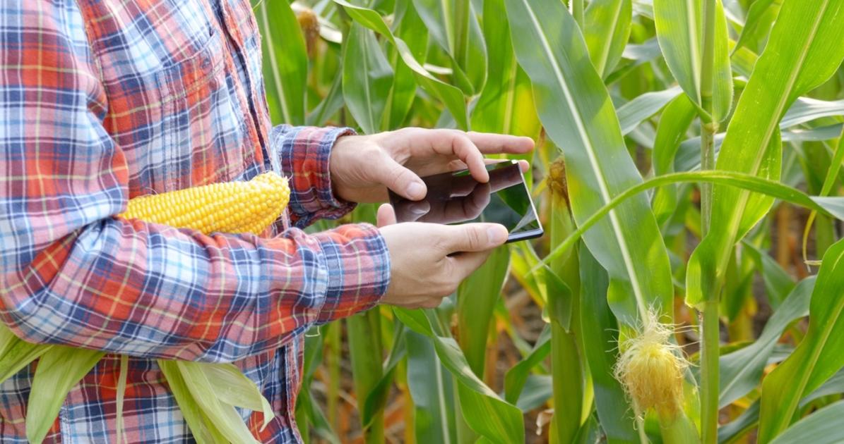 A biostimulátoroktól is bizonyítható hatást várunk A biostimulátoroktól is bizonyítható hatást várunk
