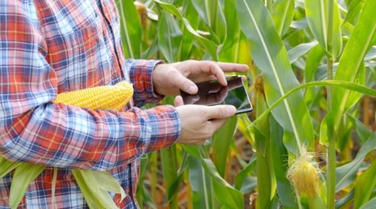 A biostimulátoroktól is bizonyítható hatást várunk A biostimulátoroktól is bizonyítható hatást várunk