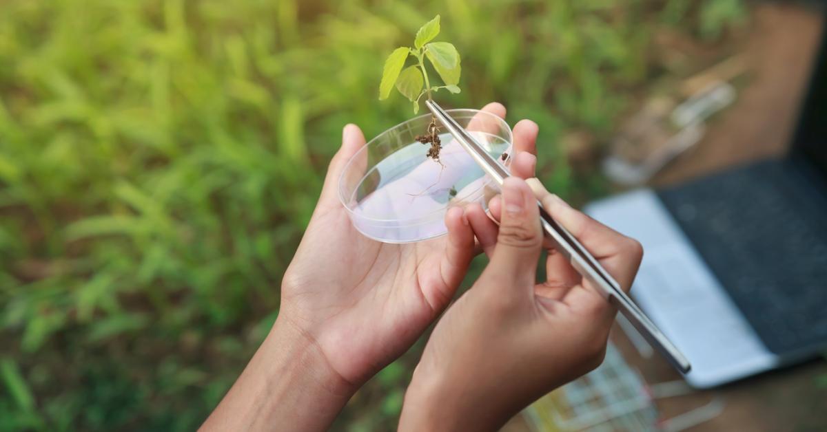 Miért félnek a gazdák ettől az új technológiától?