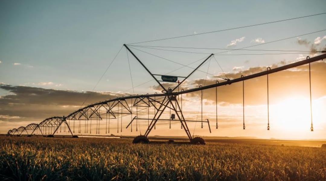 Öntözés nélkül nincs biztonság: Amikor a 40 fokos hőség már a vizet is elégeti