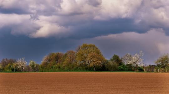 Időjárás: Ne hagyd kint az érzékeny palántákat, lesz, ahol éjjel fagyhat