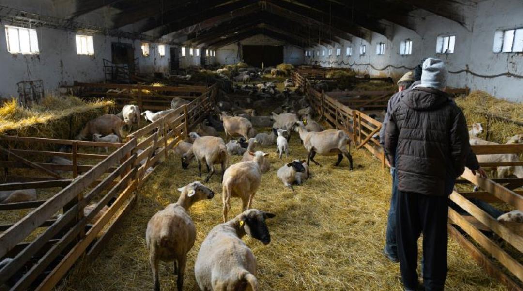 Akár 75 millió forint öntözésre: Startolnak az áprilisi pályázatok!