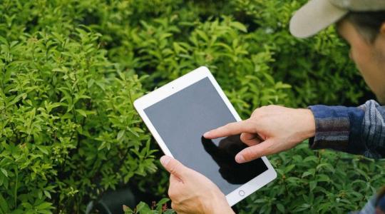 Április 8-án indul a roham: új fotózási kötelezettség vár a gazdákra az egységes kérelemben