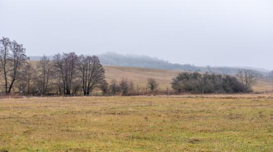 Közel a tavasz? Alföldiek, vigyázzatok, beugratós időjárás! +VIDEÓ