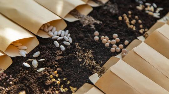 Meglepő: ezt ne tedd a kertben tavasszal - sokan elrontják