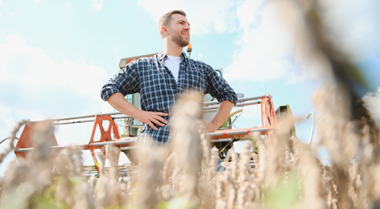 Ezeket a szempontokat mérlegelik a bérmunka-szolgáltatók