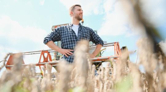 Ennyiért aratnak idén a bérkombájnok Komáromtól Mezőkövesdig