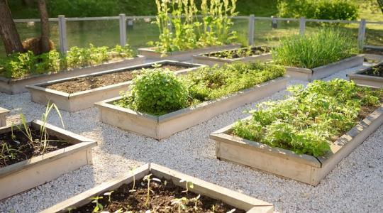 Így lehet kevesebb kártevő drága szerek nélkül