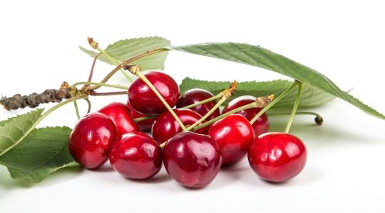 Cseresznyefa metszése: ezt sokan rossz időben végzik el Cseresznyefa metszése: ezt sokan rossz időben végzik el