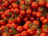 Utolsó roham a paradicsomért: ünnep után jön csak az igazi feketeleves?