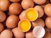 Tojás tárolása: ezt ne csináld, mert veszélyes is lehet