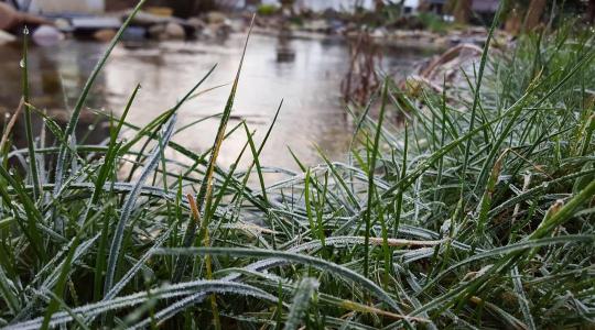Kerti tó februárban: lék, levegőztetés, és a téli halvédelem alapjai