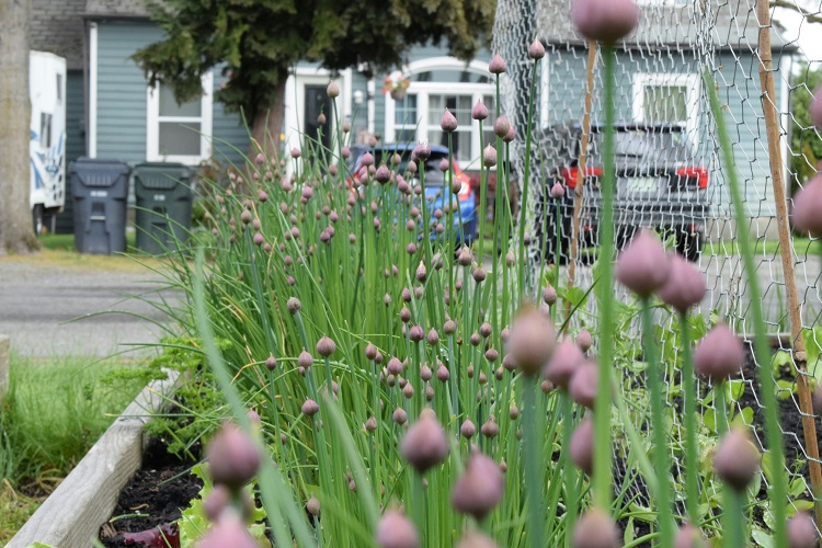 magaságyás feltöltése