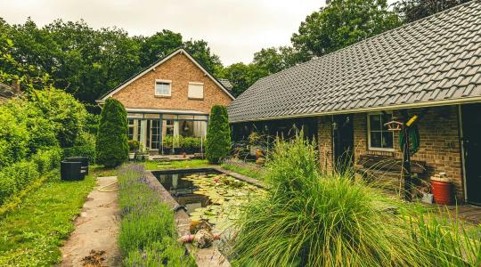 Kerti tó tisztítás: mikor és hogyan érdemes nekifogni tavasszal?