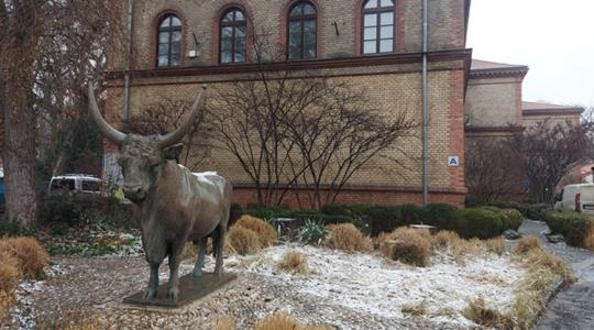 Digitális ugrás az állatorvosképzésben Digitális ugrás az állatorvosképzésben