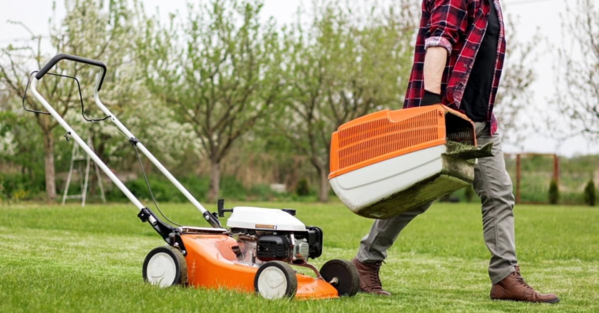 A gyep emiatt állhat le teljesen a nyári hőségben - a talaj is kimerülhet A gyep emiatt állhat le teljesen a nyári hőségben - a talaj is kimerülhet