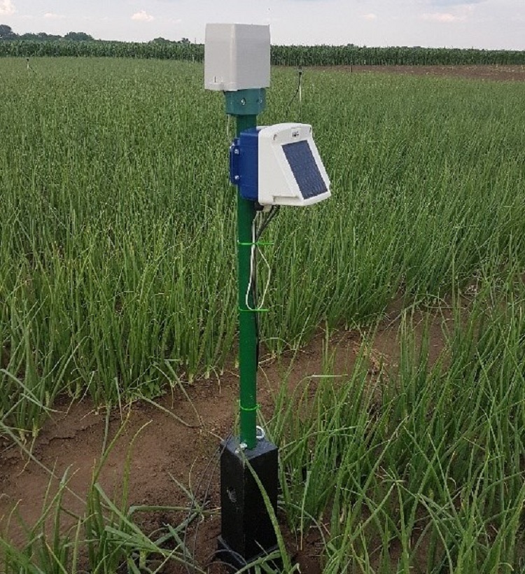 precíziós öntözés