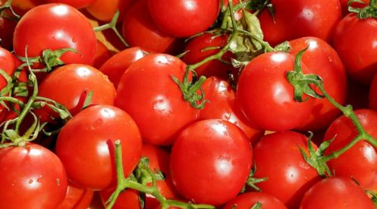 Így lehet édesebb a paradicsom - nem a fajtán múlik