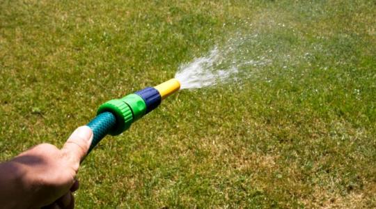 Ezért sárgul a gyep - nem az öntözés a hibás?