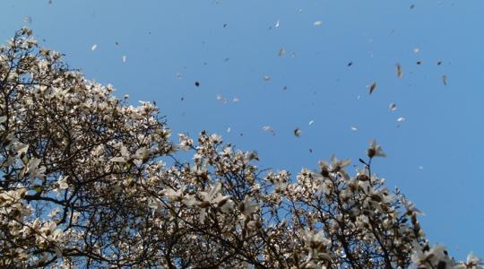 A számok nem hazudnak: ilyen volt a március A számok nem hazudnak: ilyen volt a március