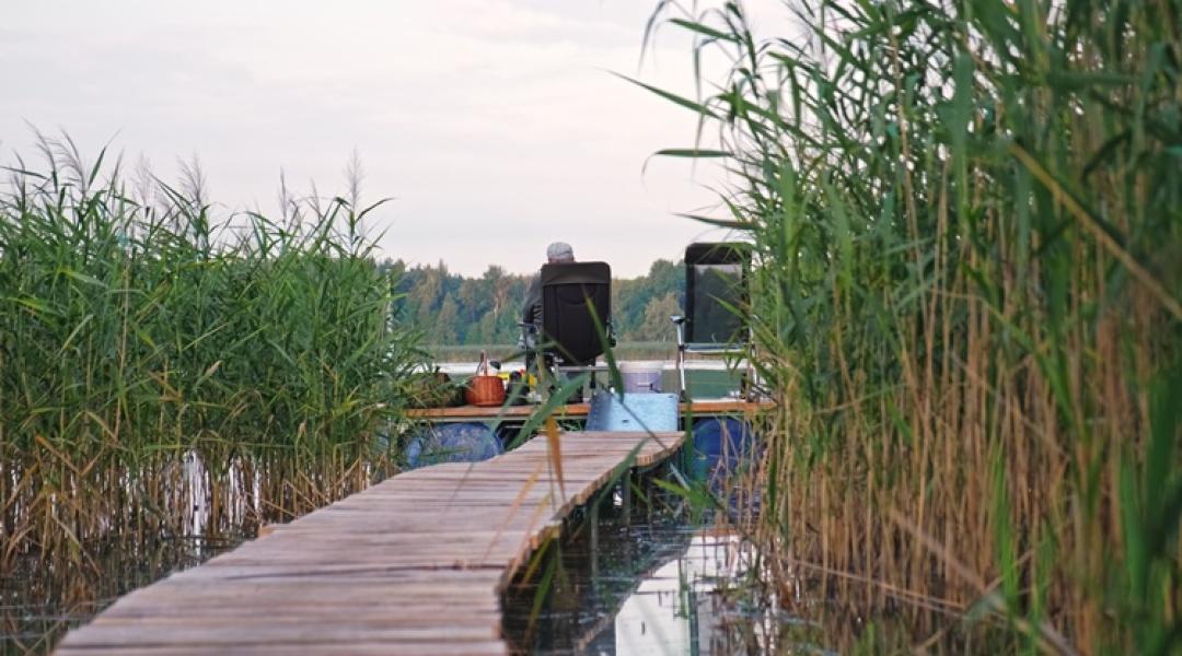 Horgászvizsga 2026: tudod, mi az a 3 lépés, ami nélkül nem mehetsz a vízpartra?