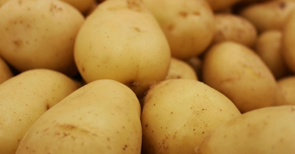 Így neveld a krumplid! Minden, amit a bőséges terméshez tudni kell