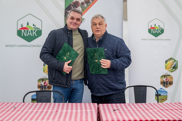 szántóföld szántóföld