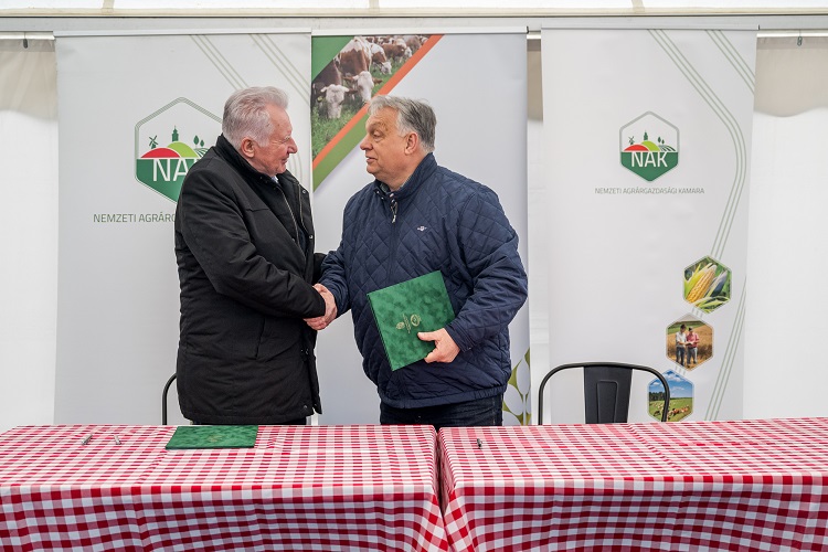 szántóföld szántóföld