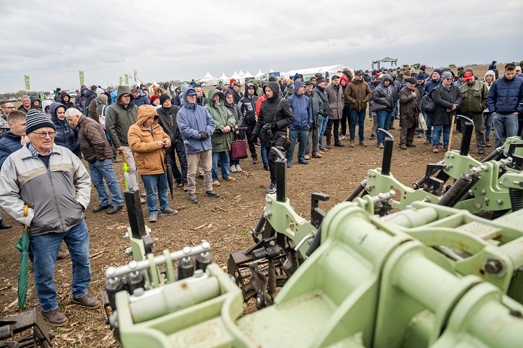 szántóföld szántóföld