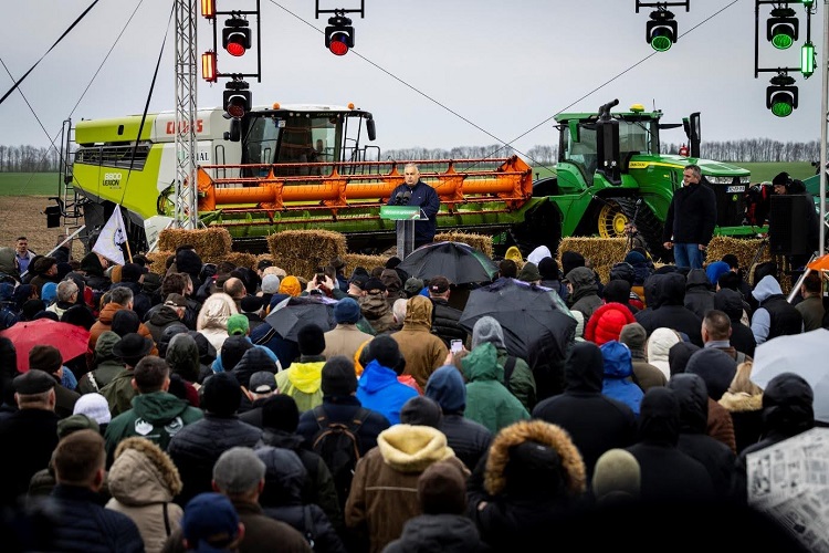 szántóföld szántóföld