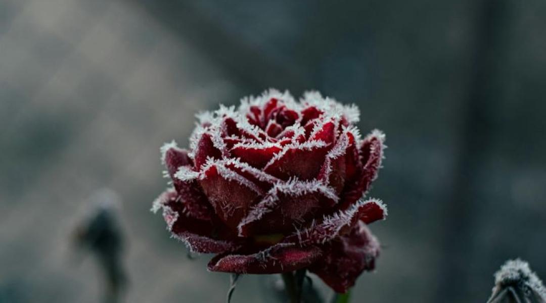 3 napos időjárás: Hideg hajnalok, szeles nappalok