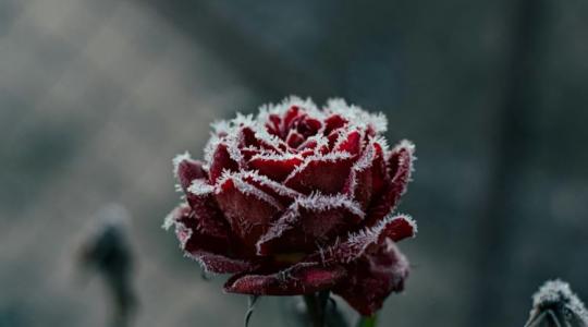 3 napos időjárás: Hideg hajnalok, szeles nappalok