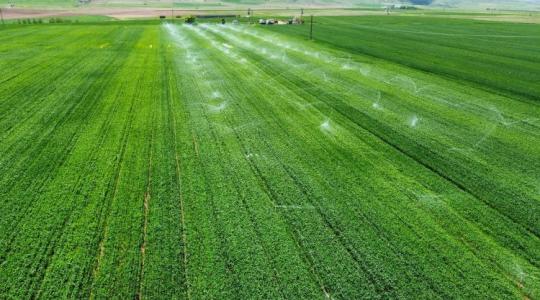 Végre! Megmenekülhet a Homokhátság: Megkezdődött a vízpótló rendszer utolsó szakaszának építése