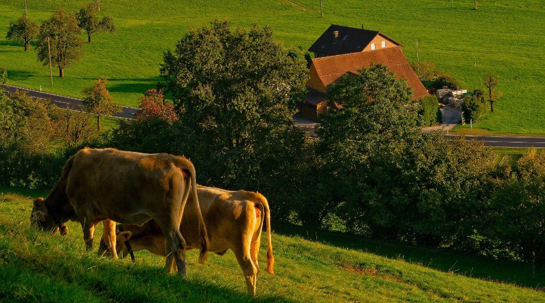 Áram, víz és szennyvízkezelés: akár 25 milliót is kaphatsz tanyafejlesztésre