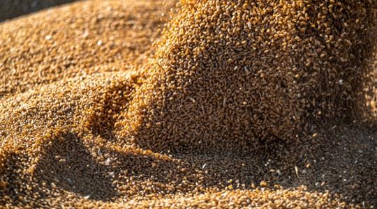 Akkor most van értéke a búzának, vagy sem? Akkor most van értéke a búzának, vagy sem?