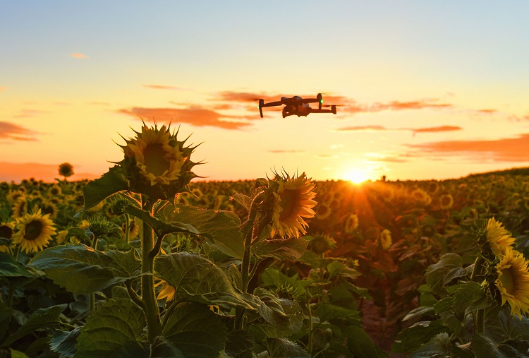 vulcanagro vulcanagro