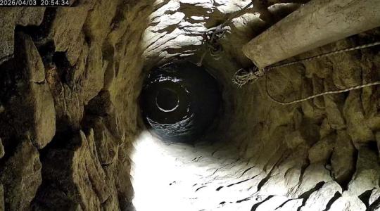 Rejtély a mélyben: Európai ritkaságot hódítanak vissza a Somló-hegyen